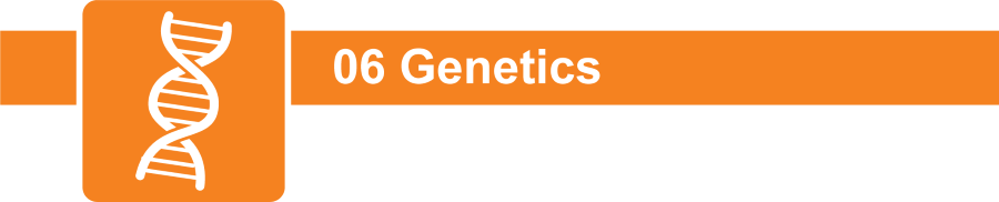 Secret 6 Genetics