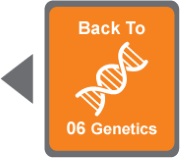 Back to Genetics