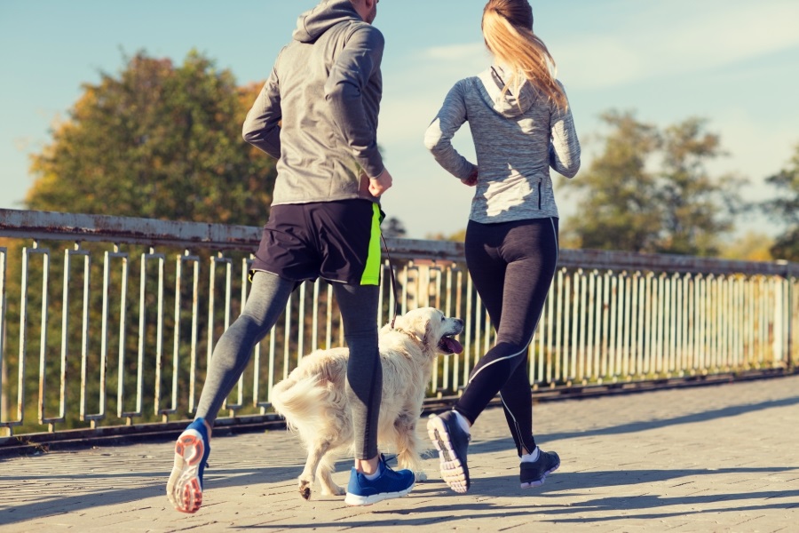 How to Exercise with your Dog
