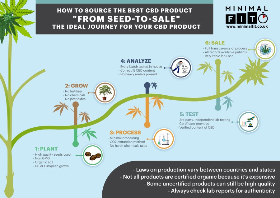 CBD Journey from Seed to Sale