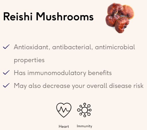 Reishi Mushroom Extract